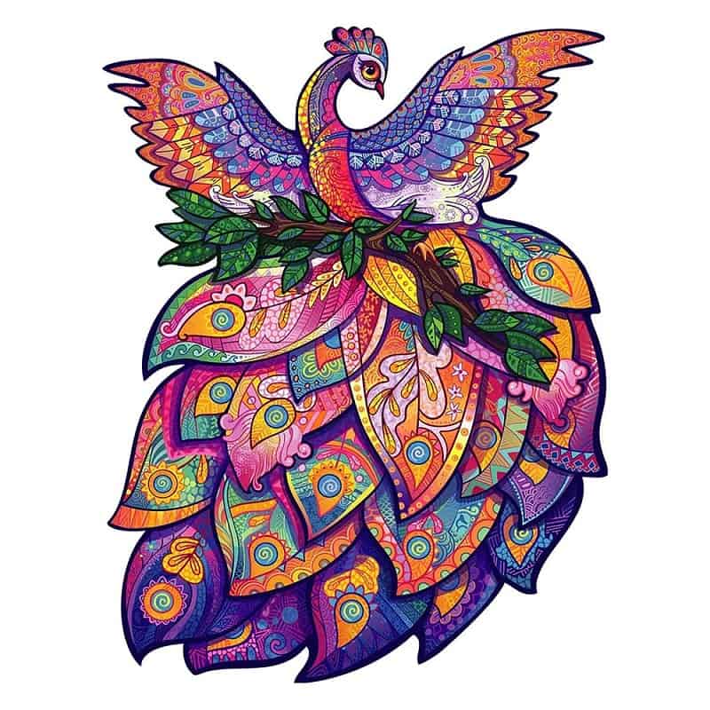 Un disegno colorato di un pavone su sfondo bianco raffigurante Fairy Bird Unidragon Animali.