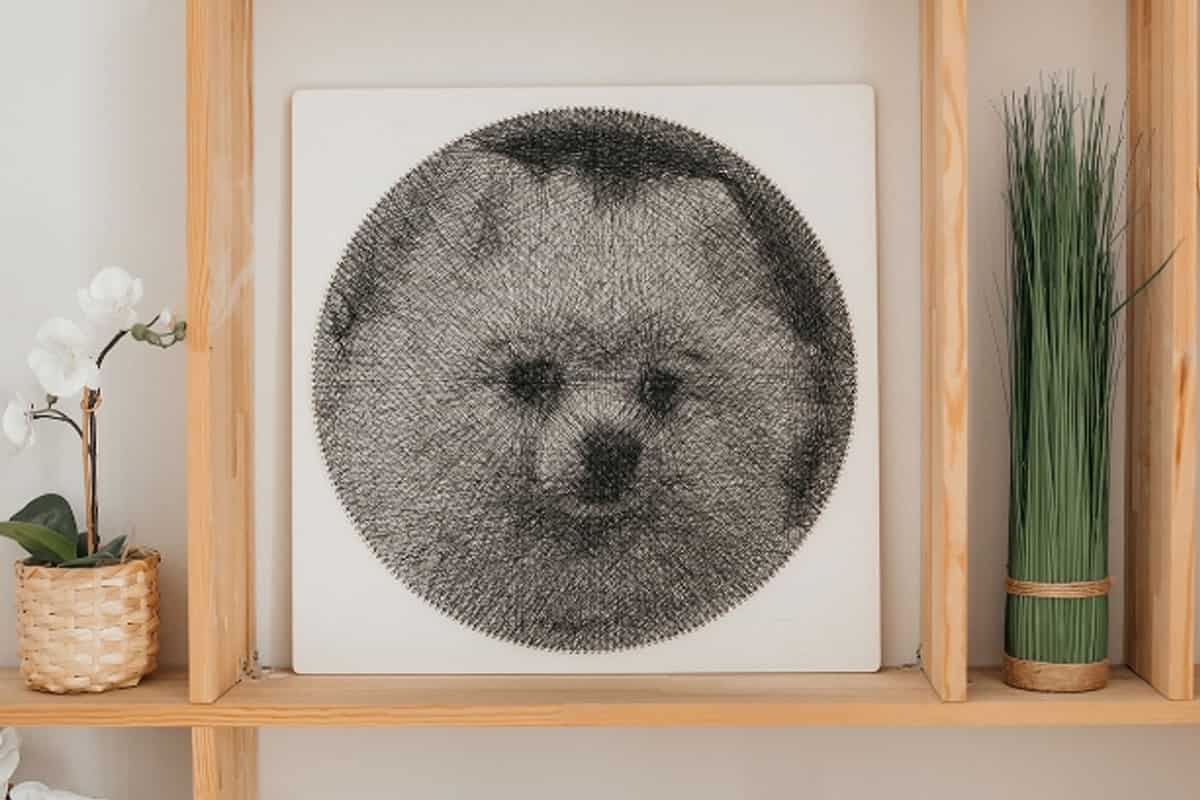 RingString Intrecci Artistici Che Danno Vita ai Ricordi. Un disegno in bianco e nero di un cane pomeraniano su uno scaffale creato da un artista.