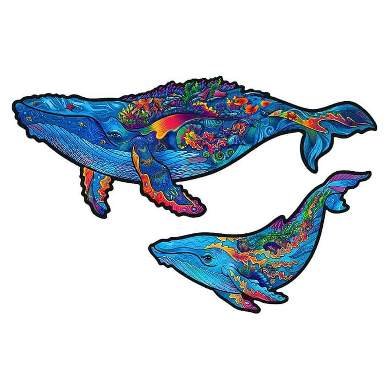 Due megattere colorate su sfondo bianco della collezione Milky Whales 2 in1 Unidragon Animali.