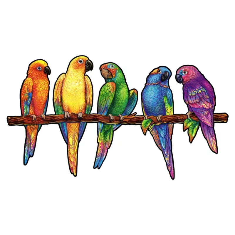 Quattro giocosi pappagalli 5 in 1 Unidragon Animali seduti su un ramo.