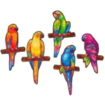 Quattro giocosi pappagalli 5 in 1 Unidragon Animali seduti sui rami.